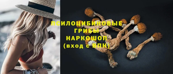 СК Лиски