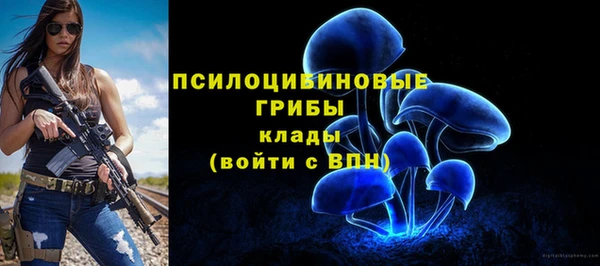 ALPHA PVP Лихославль